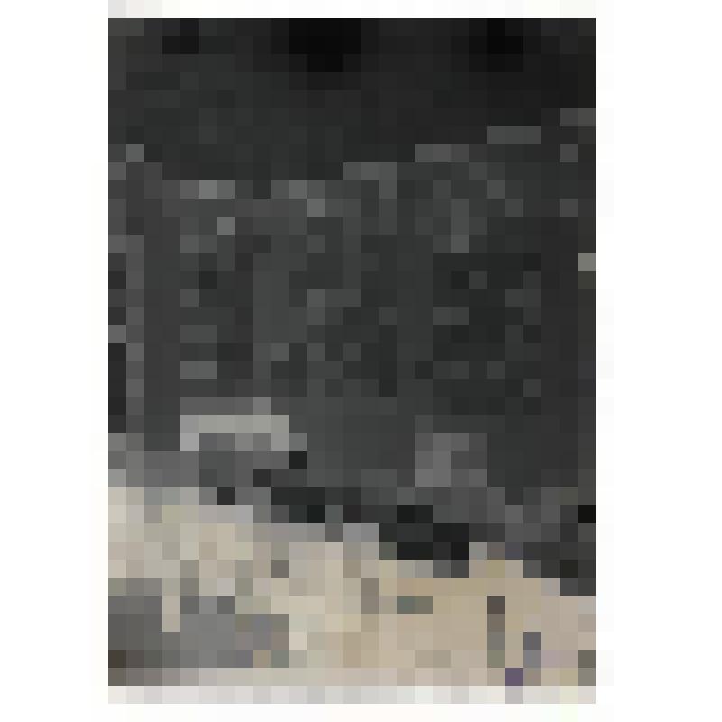 Выставка «20 лет РККА» в Государственном литературном музее