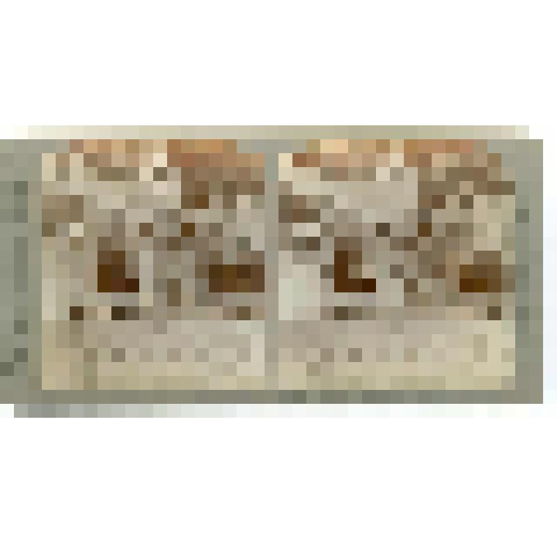 Новый дворец. 1763-69 гг. Германия. Потсдам. Новый дворец. Апартаменты Кайзера. Underwood & Underwood