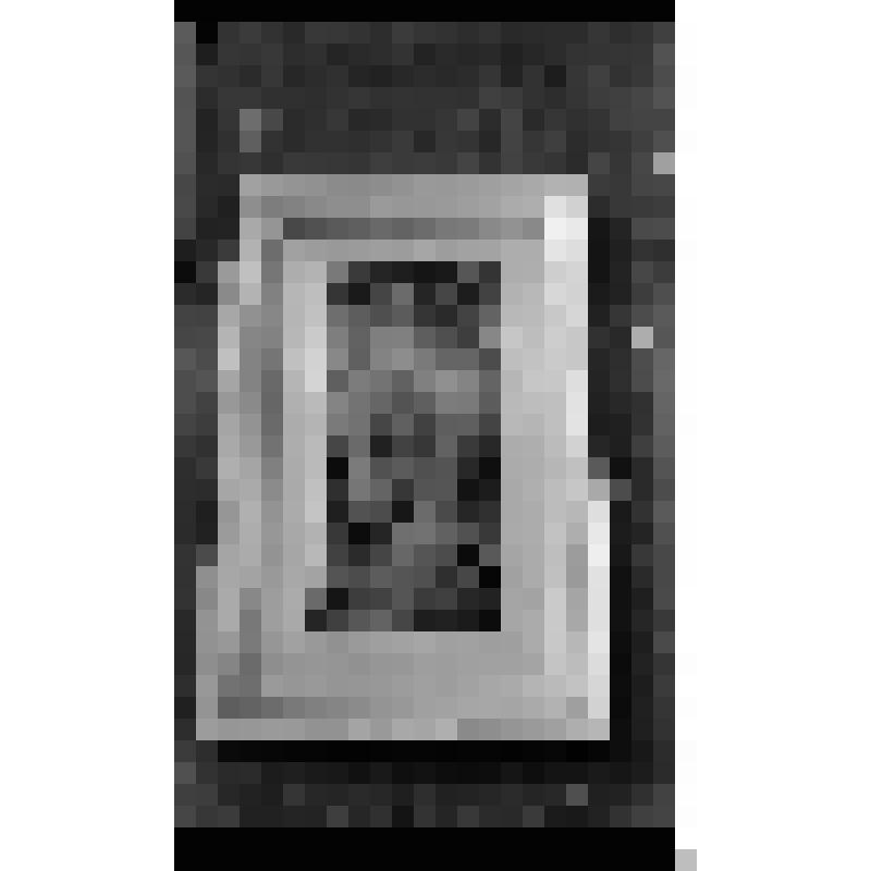 Негативы. Фотонегатив. "Вербная весна"