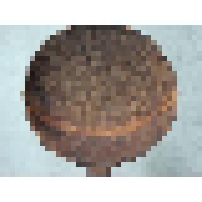 Ложка для сливок. Хамыйах (якут.)