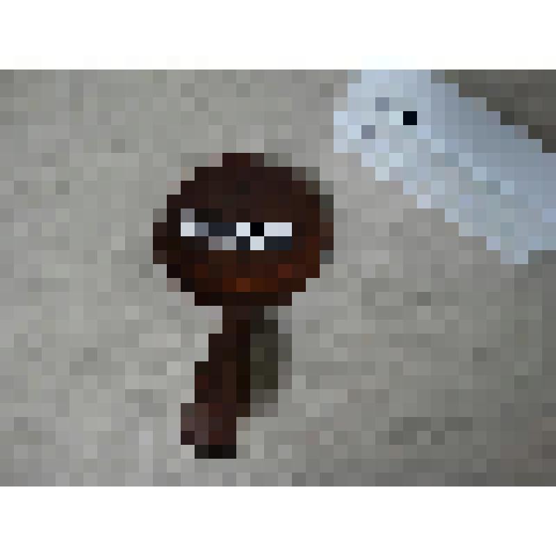 Ложка для сливок. Хамыйах (якут.)