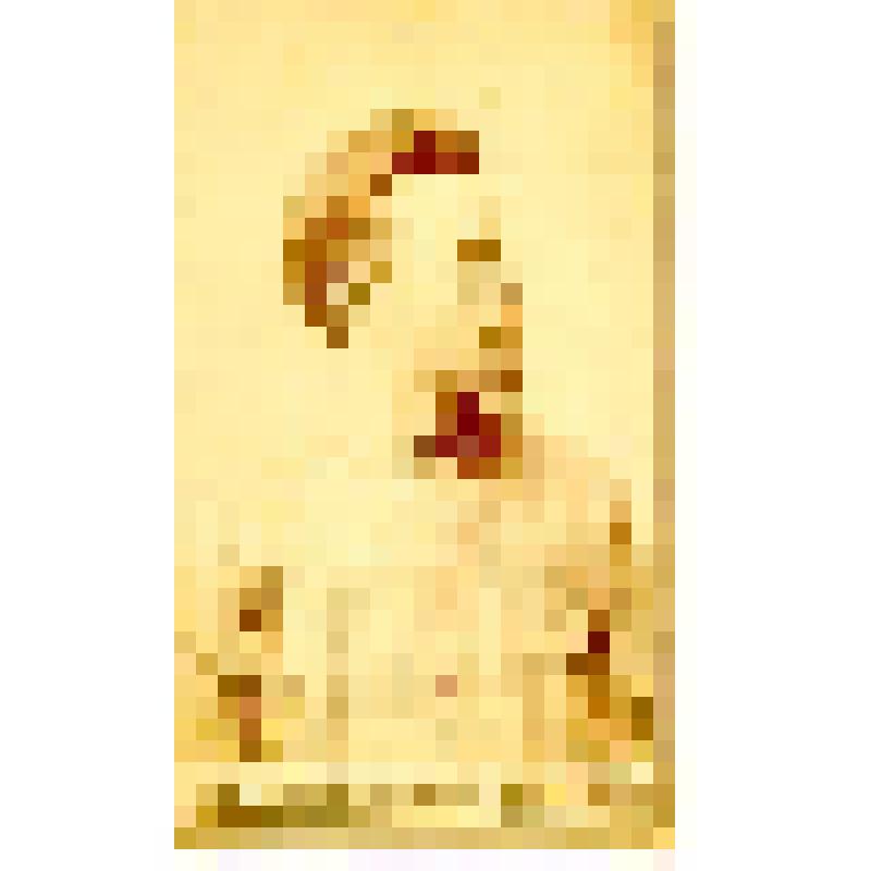 Фотография. Ванеев Василий Александрович (1874 - 1937гг.)