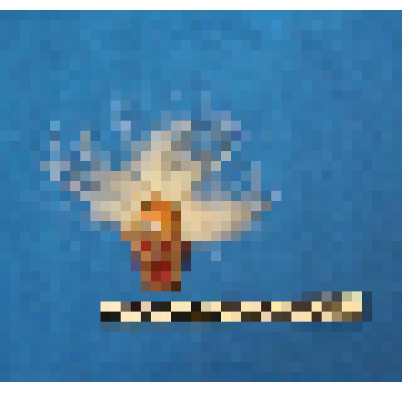 чеканка. Талисман на металлической пластине в виде лица человека. Волосы из меха. На обратной стороне подложка из ткани. Вверху пластины закреплено металлическое кольцо