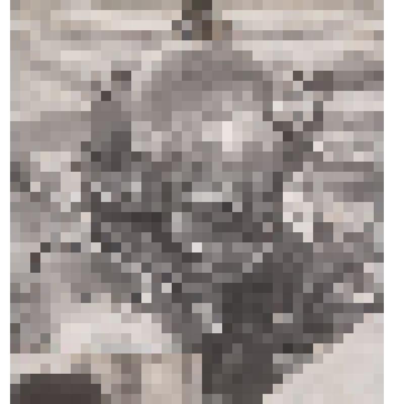 Фотография из альбома. Станица 5 фотография 16. Водолаз в обыкновенном медном скафандре