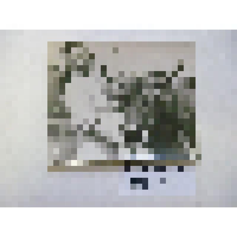 Комплект фотооткрыток "ВДНХ". Фотооткрытка. Павильон "Животноводство". Знатная доярка УССР, Герой Социалистического Труда Н. Грушка