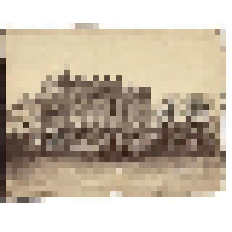 Фотография. Академия Медицины (Académie de médecine) на Площади Станислава. Франция, Нанси