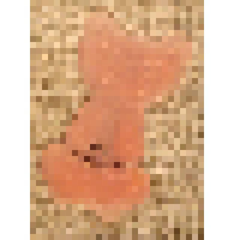 Игрушка елочная «Кот», из коллекции елочных игрушек и украшений