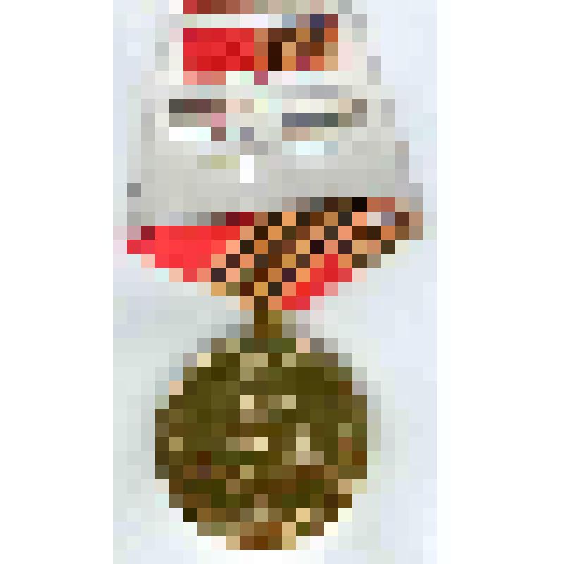 Медаль юбилейная "50 лет победы в Великой Отечественной войне. 1941 - 1945 гг." Яцкина Ивана Терентьевича, из коллекции государственных наград и документов к ним ветеранов труда супругов Яцкиных Ивана Терентьевича и Зинаиды Семеновны