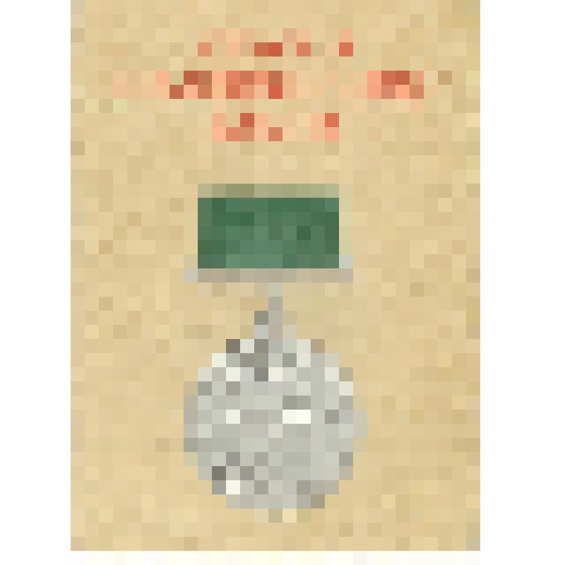 Удостоверение № 10871 Радиной Веры Федоровны к Большой серебряной медали Всесоюзной сельскохозяйственной выставки