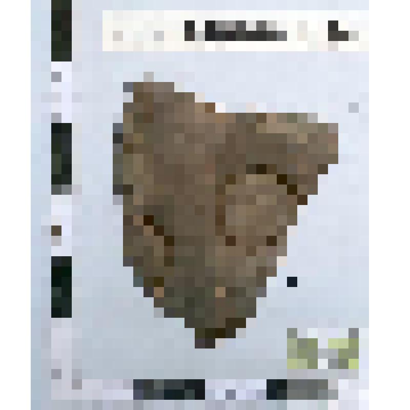 Стенка лепного сосуда