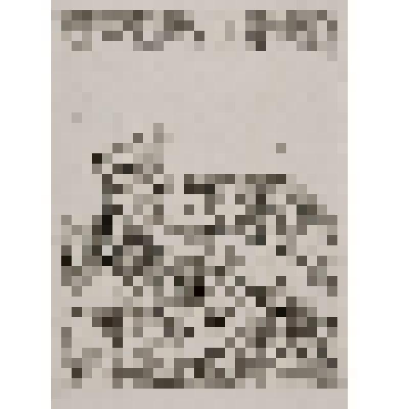 "Старуха у разбитого корыта". Иллюстрация к сказке А.С. Пушкина "Сказка о рыбаке и рыбке"