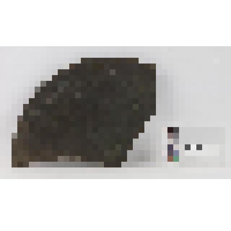 Фрагмент секторовидный зеркала медного, с кромкой по краю оборотной стороны, с ушком в центре