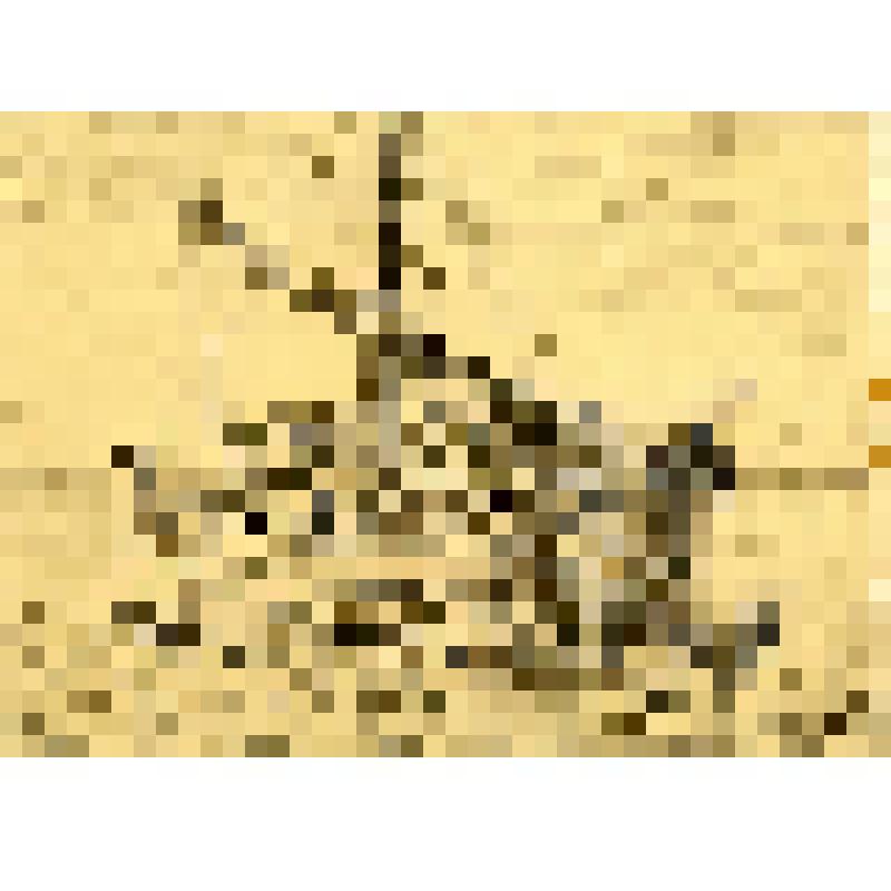 Корабль и лодка