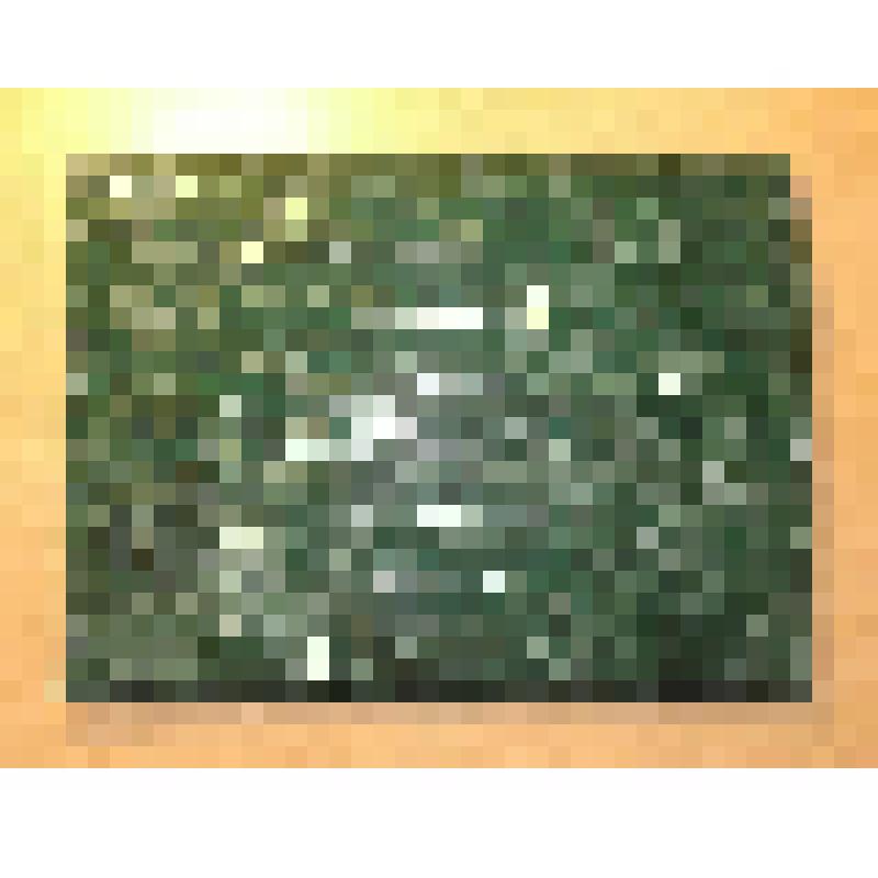 Папка Расторгуева Ф.Ф