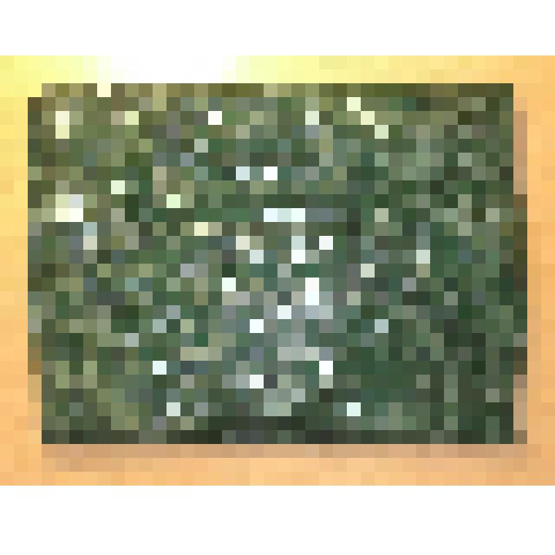 Папка Расторгуева Ф.Ф