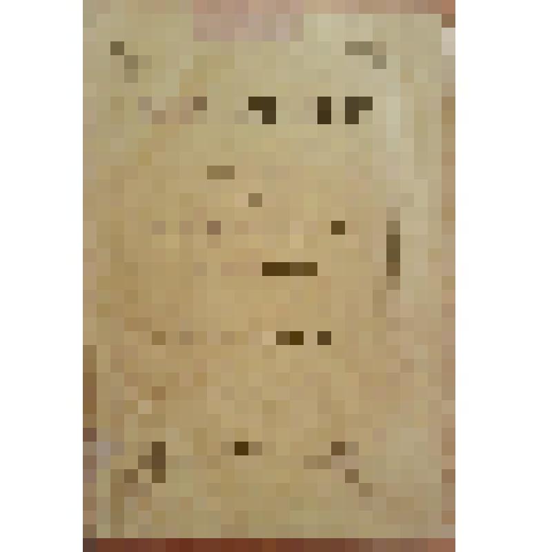 Книга. Толстой Л.Н. Анна Каренина [Text]. Т. 2 / Роман графа Л. Н. Толстого. - 2-е изд. - М., 1878 (Типография Т.Рис). - В 8-ми частях