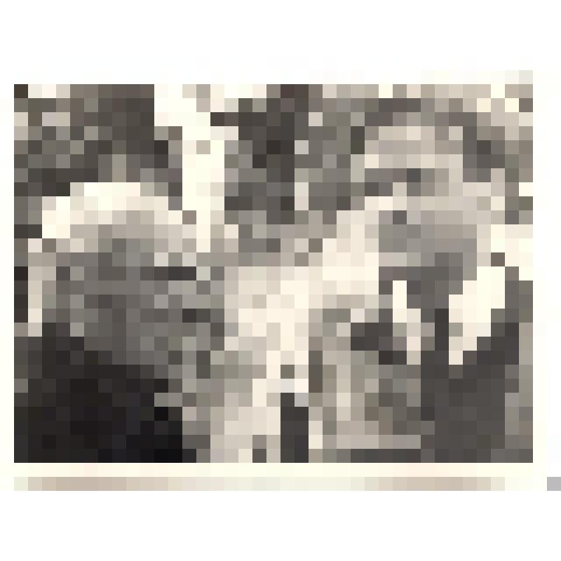 Фотография ч/б. Паустовский К.Г. и Стеценко В.П. Ялта. 1966 г