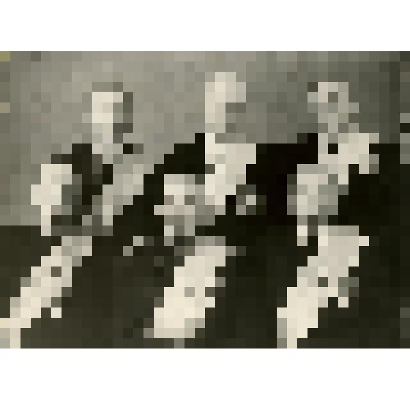 Фотография. Почетные граждане г. Златоуста: Волков В.А, Чичиланов Ф.Г., Латышев Т.Л., Симонов В.М., Лебедев А.П. Соколов М.И