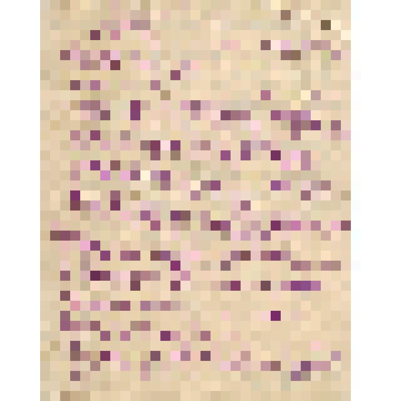 Письмо в редакцию газеты "Тыл-фронту" от фронтовика, бывшего рабочего комбината