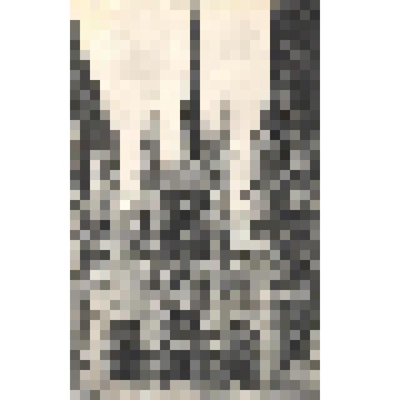 Открытка (Cathedrale de Rouen. La facade (№4).)