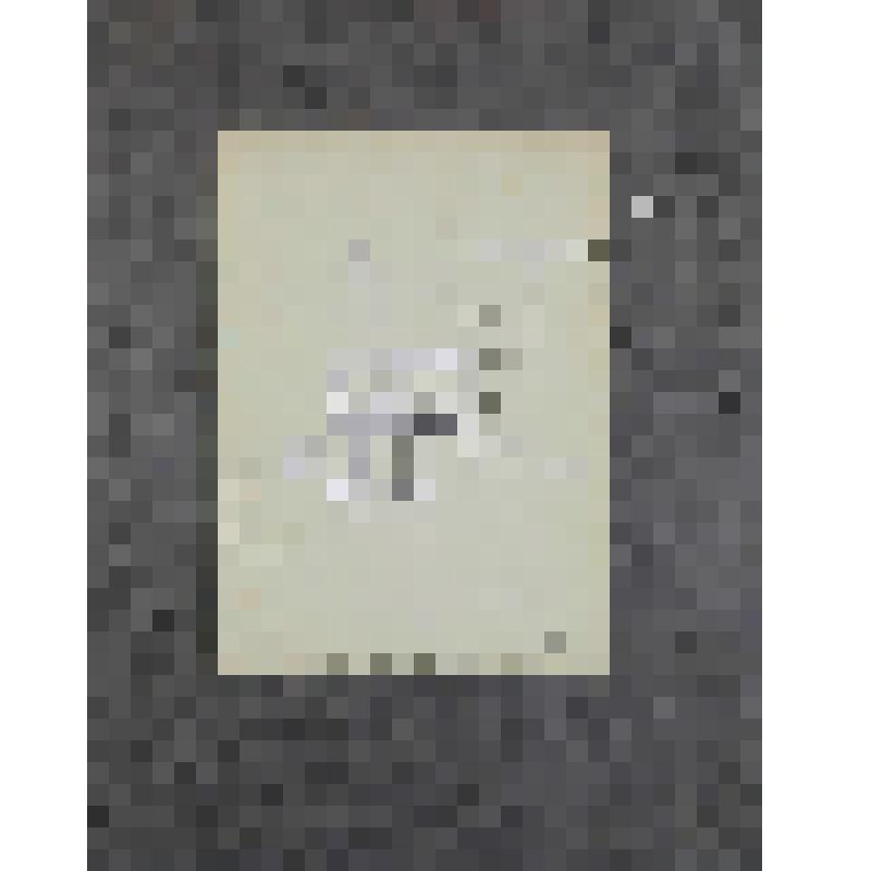 Фотография. Лесков Ярослав Андреевич (внук Н.С. Лескова, сын А.Н. Лескова) в детские годы