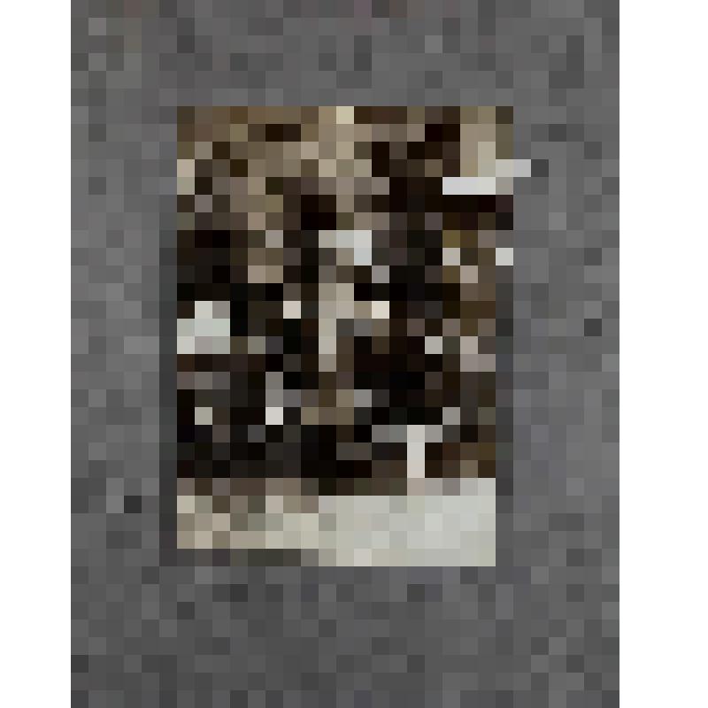 Фотография. Лесков Ярослав Андреевич (внук Н.С. Лескова, сын А.Н. Лескова) в детские годы