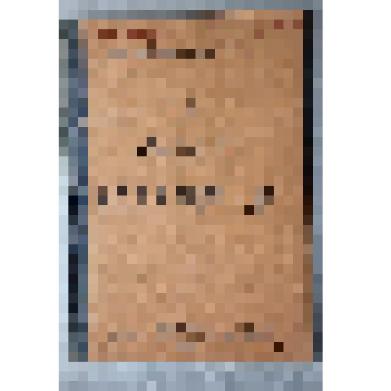 Книга. М. Горький. Товарищи. Из серии дешевая библиотека тов. «Знание». №1, 1906 г