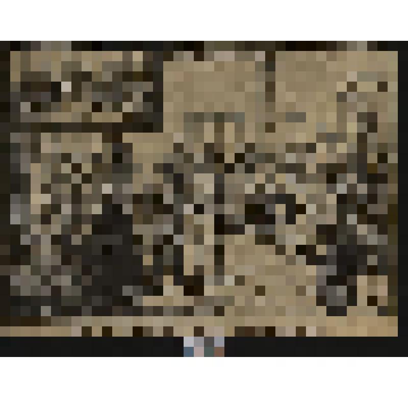 «Адресный стол в Петербурге»