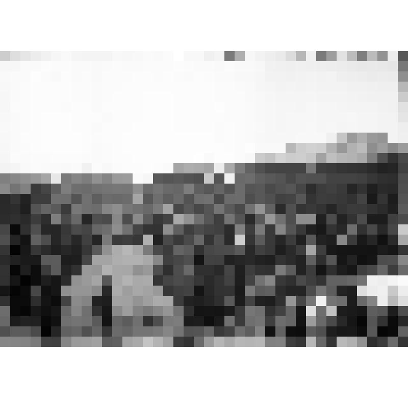 Негатив на стекле: Минусинская Добровольно-пожарная дружина