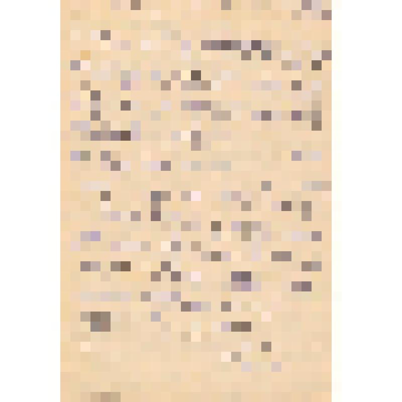 Письмо С.В. Лагутичу от Дайн Т.Л.  от 24.12