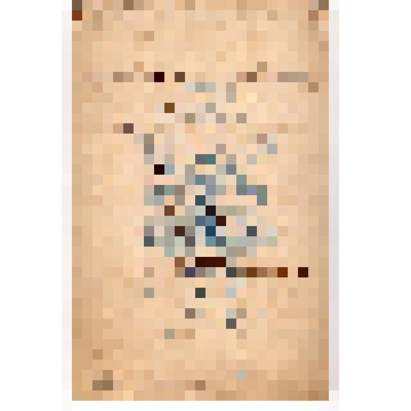 Фото. Неизвестный мужчина в военной форме и фуражке с кокардой.На обороте надпись: "Дарю на память дорогому и уважаемому товарищу Михаилу Симонову.  гор.Т.-Х.-Шура Даг. об. 1.VI.1906 г."