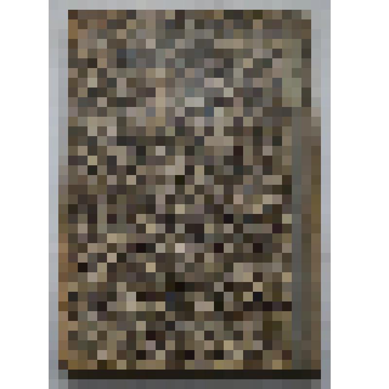 Книга. Краткий учебник пчеловодства.  Типография М.Стасюлевича