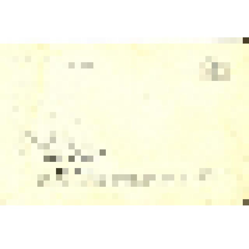 Фото-открытка цветная. Наталья Фатеева