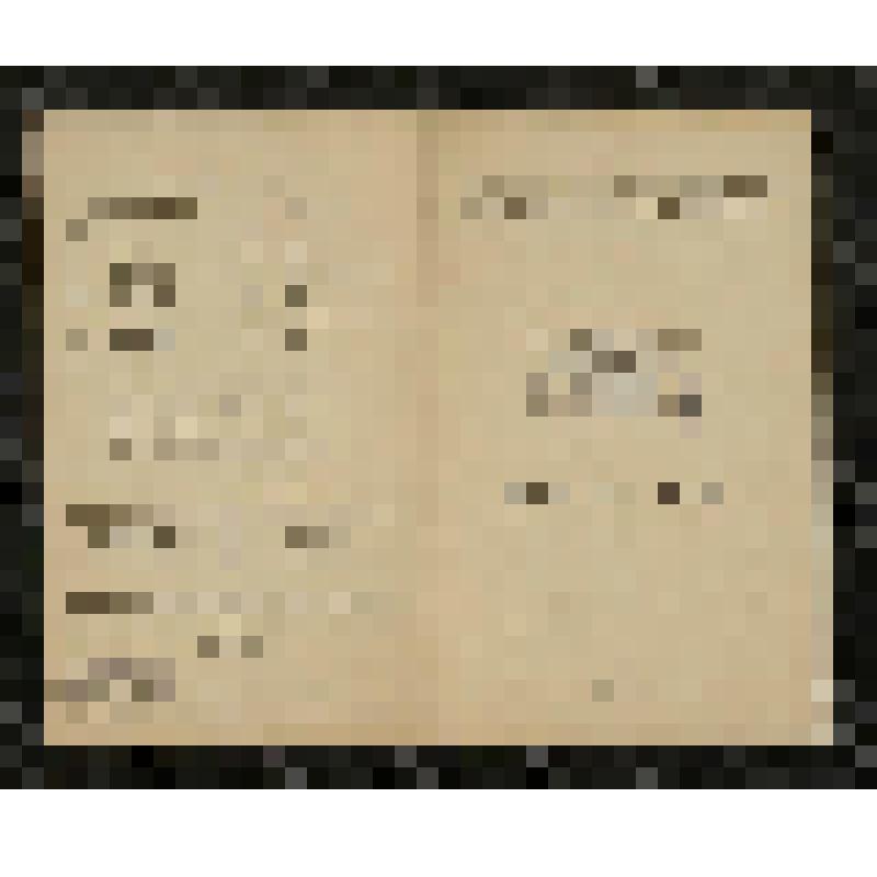 Программа. "Лакмэ" (Дирижер - Небольсин В.В. Режиссер - Домбровский Н.С. Художники - Самохвалов С.К., Федоров Л.А.). Москва. Филиал Государственного Академического Большого театра СССР