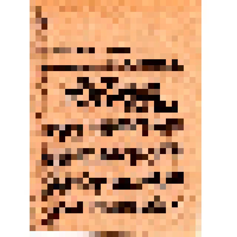 Листовка-пропуск. Издание ГлавПУРККА. ONDERMELDUNG. DER VORMARSCH:(на нем. яз.)