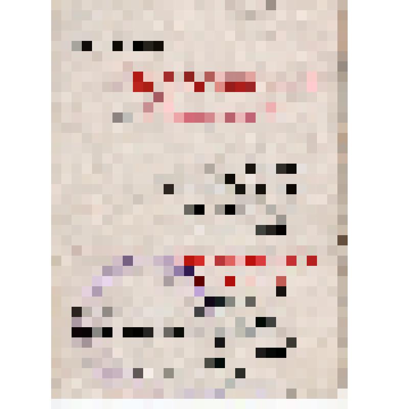 Приглашение Романову И.И. на открытие Днепровской гидроэлектростанции 1-го октября 1932 г.  (на русском и украинском яз.)