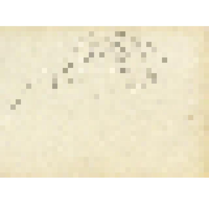 Младенец. Из серии набросков "Деревня Целегора. Мезенский район."