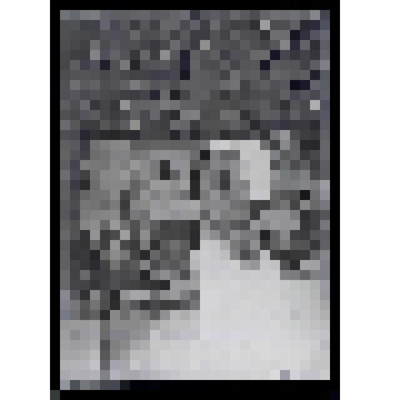 Негатив стеклянный. Крест Демьяновской часовни