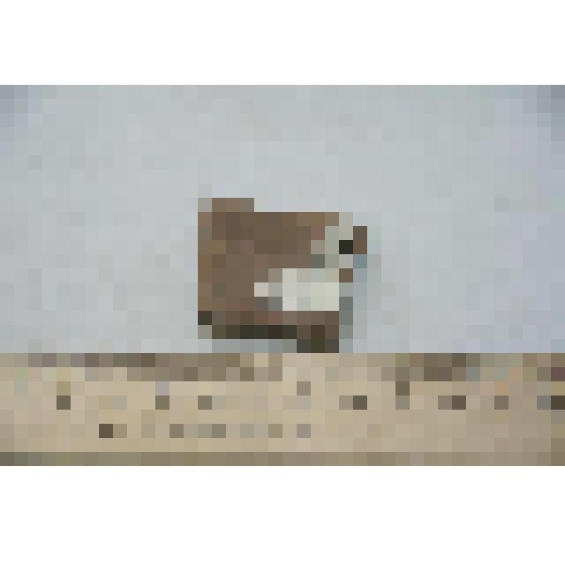 Фрагмент стенки сосуда