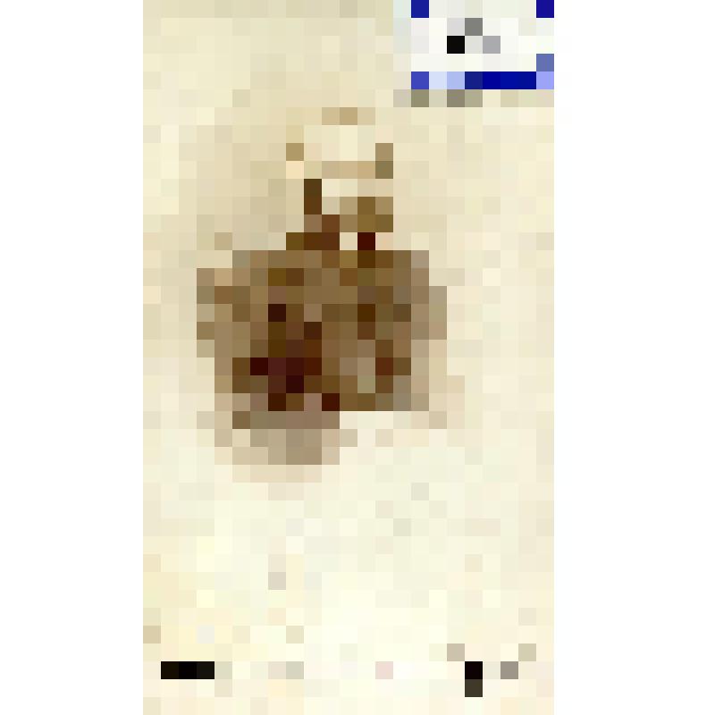 Фотография черно-белая. Тухомин Лев Федорович