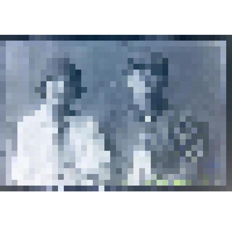 Негатив. Портрет парный погрудный мужчины и женщины