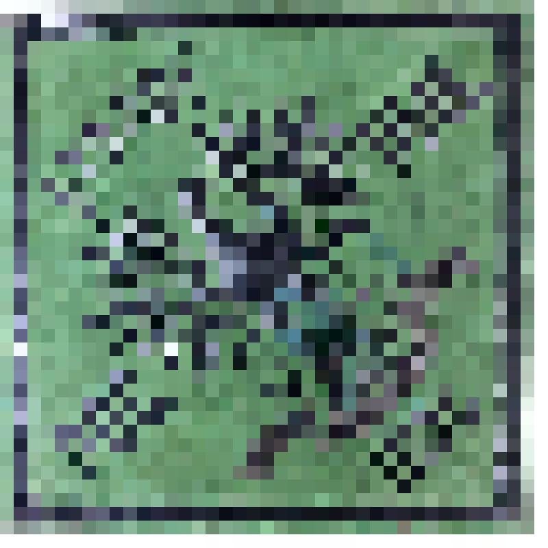 Табличка страховая. «Второе Российское общество. 1835». г. Николаевск