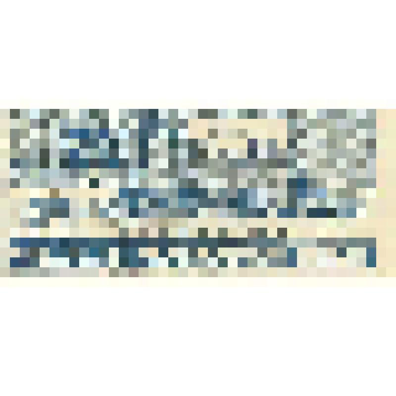 пром. графика. Этикетка на оборотную сторону пачки из-под папирос "Riga"