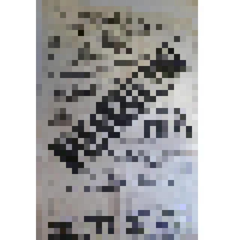 Афиша с исполнителями. "Орлеанская дева" (Перев. Кашкин); "Десять невест и ни одного жениха". Астрахань, Зимний театр; Антреприза, Труппа русских драматических артистов под управлением В.И. Кастровского