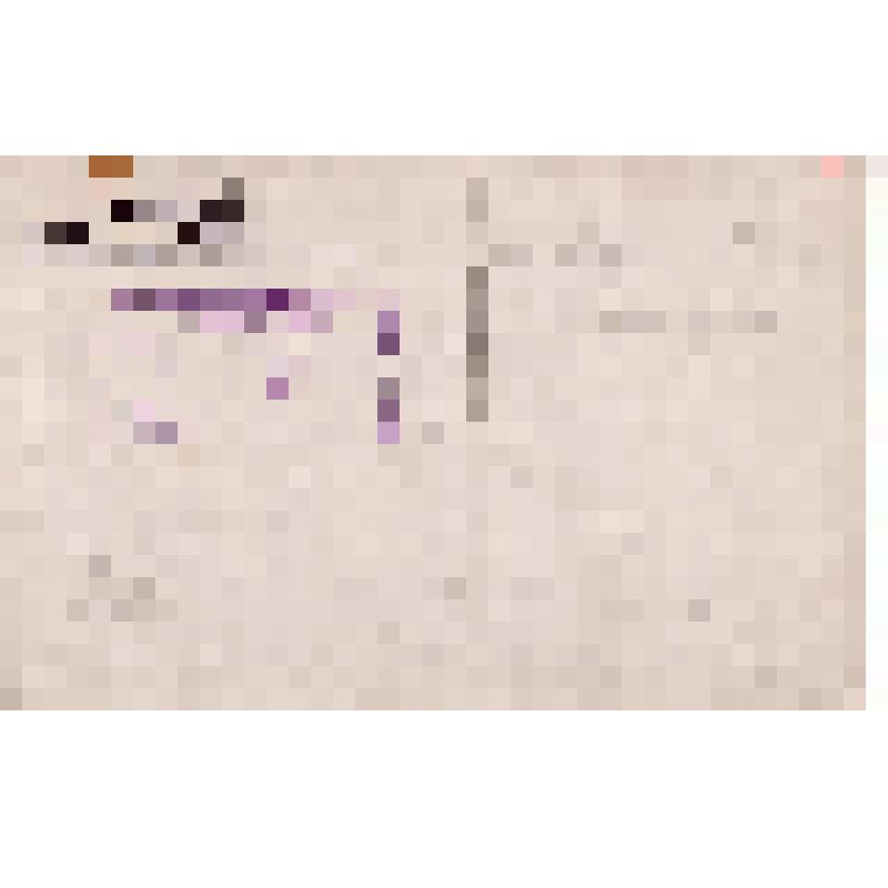 Открытка почтовая. г. Ямбург. Имение Романовка