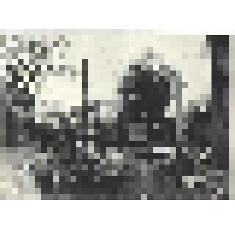 Фотографии. Фото ч/б. После боя в г. Ландсберге под Берлином, апрель 1945 г