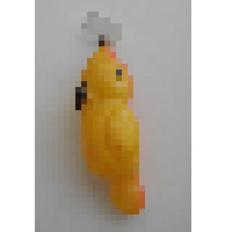 Игрушка елочная - попугай