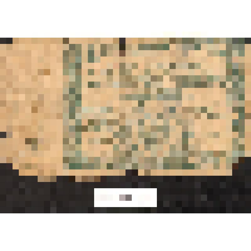 Расчётный знак "50 000 рублей". обр. 1921г. РСФСР