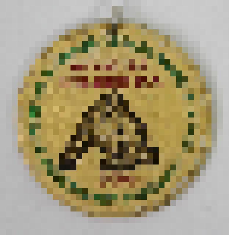 Медали памятные. Медаль "Юношеский турнир по вольной борьбе памяти Героев Советского Союза П.Ф. Попова и М.И. Чебодаева. 3-е место"