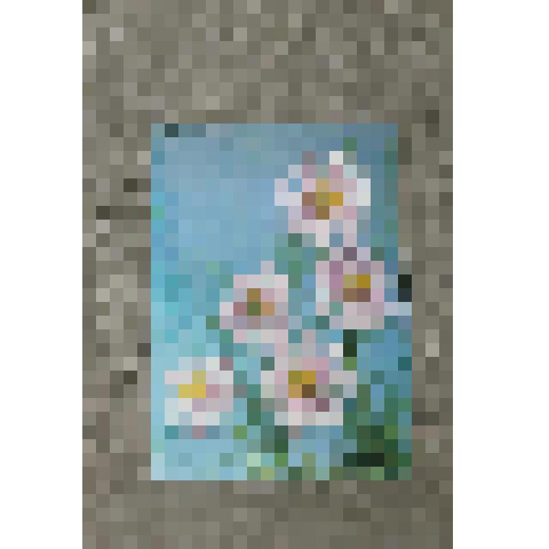 Открытка поздравительная " Поздравляю!". М.,издательство "Планета", 1983 г